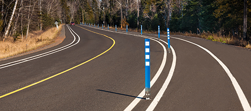A curved rural roadway lined with tall trees on both sides. A series of blue-and-white flexible lane delineator posts run along the inside edge of the curve, guiding drivers through the bend. A vehicle is visible in the distance.